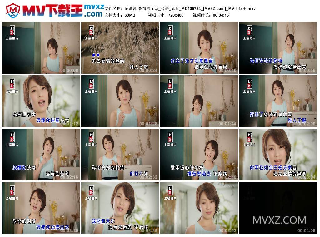 陈淑萍-爱情的无奈_台语_流行_MD105784